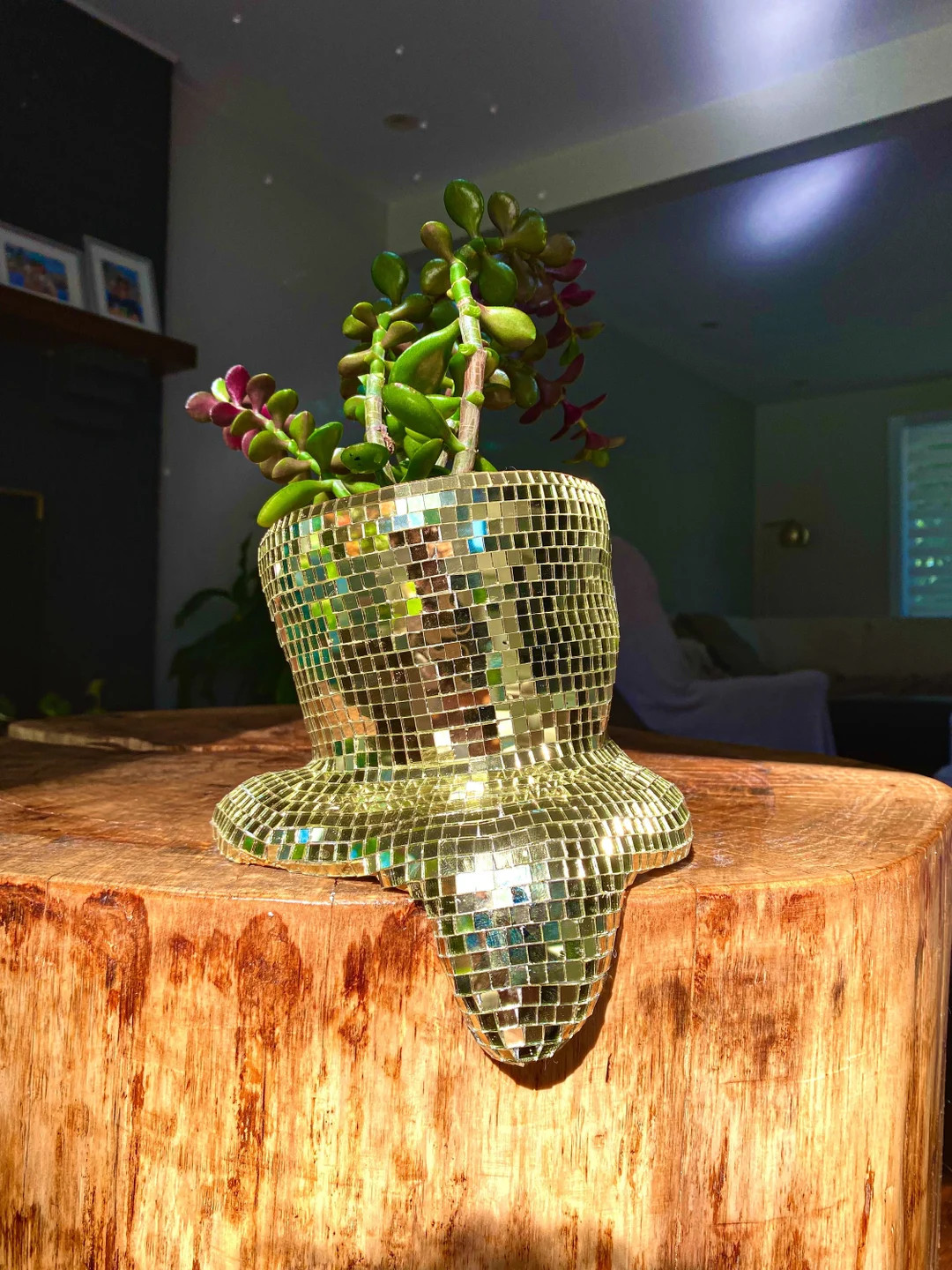 Melting Disco Ball Drippy Planter Pot Mirrored Melted Designs Metallic Home Decor - Etsy | Etsy (US)