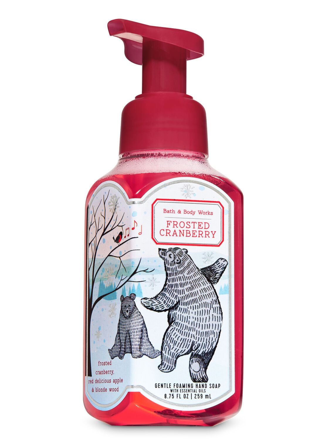 Frosted Cranberry Gentle Foaming Hand Soap | Bath & Body Works