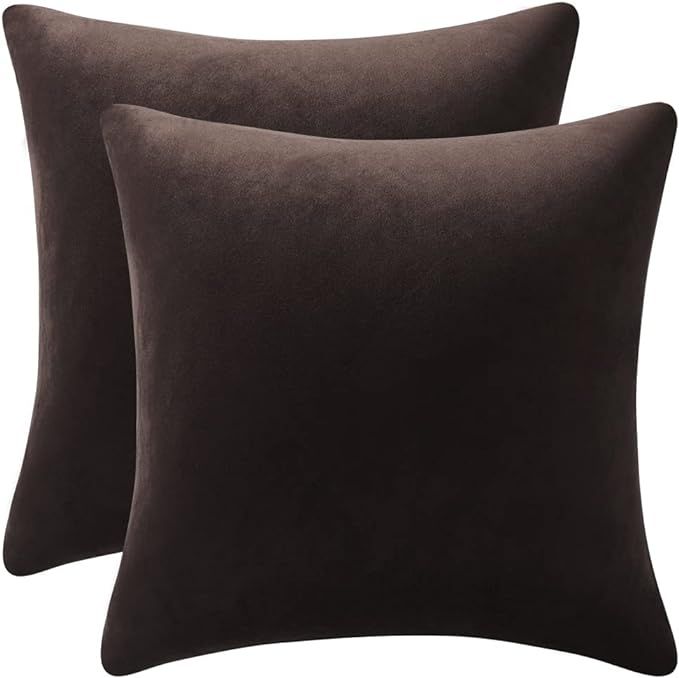 DEZENE Decorative Pillow Cases 18x18 Chocolate Brown: 2 Pack Cozy Soft Velvet Square Throw Pillow... | Amazon (US)