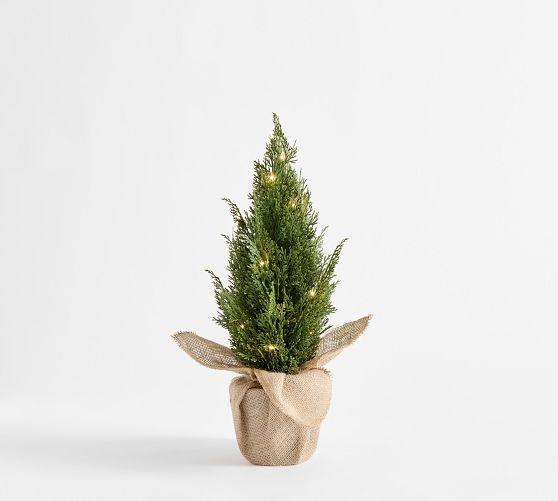 Faux Lit Topiary Pine Tree | Pottery Barn (US)