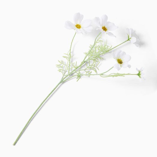 Faux Cosmos Stem | West Elm (US)