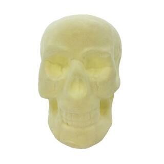 7" Cream Tabletop Skull by Ashland® | Michaels Stores