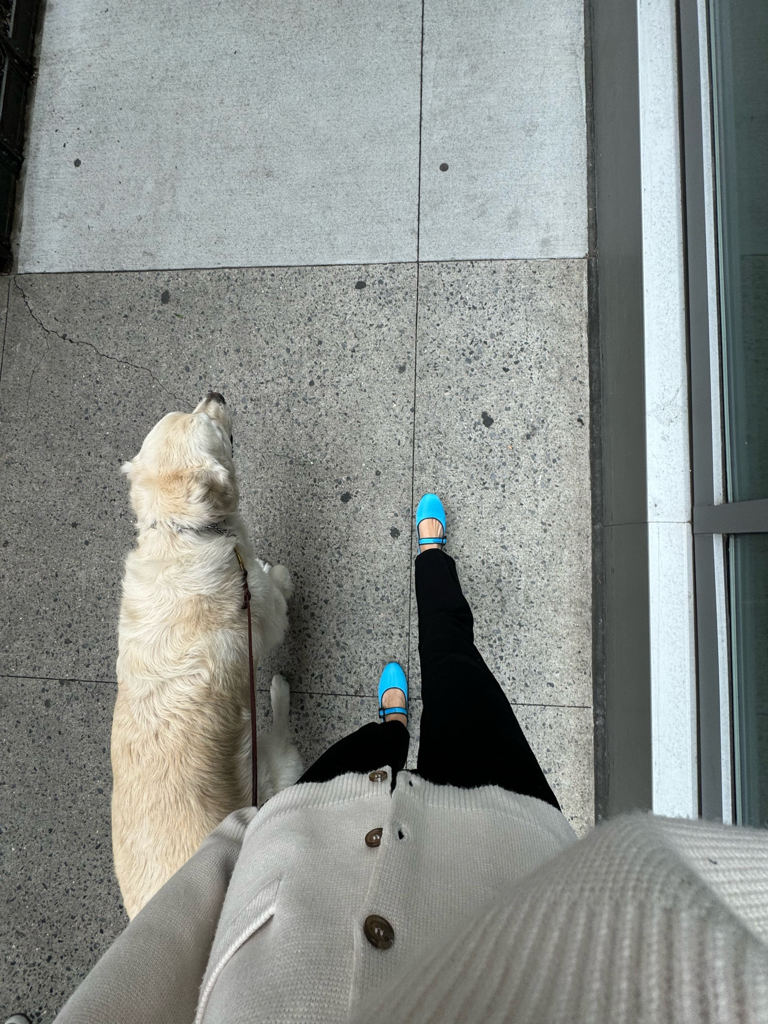 Blue Mary Jane’s 

#LTKU #LTKworkwear #LTKstyletip