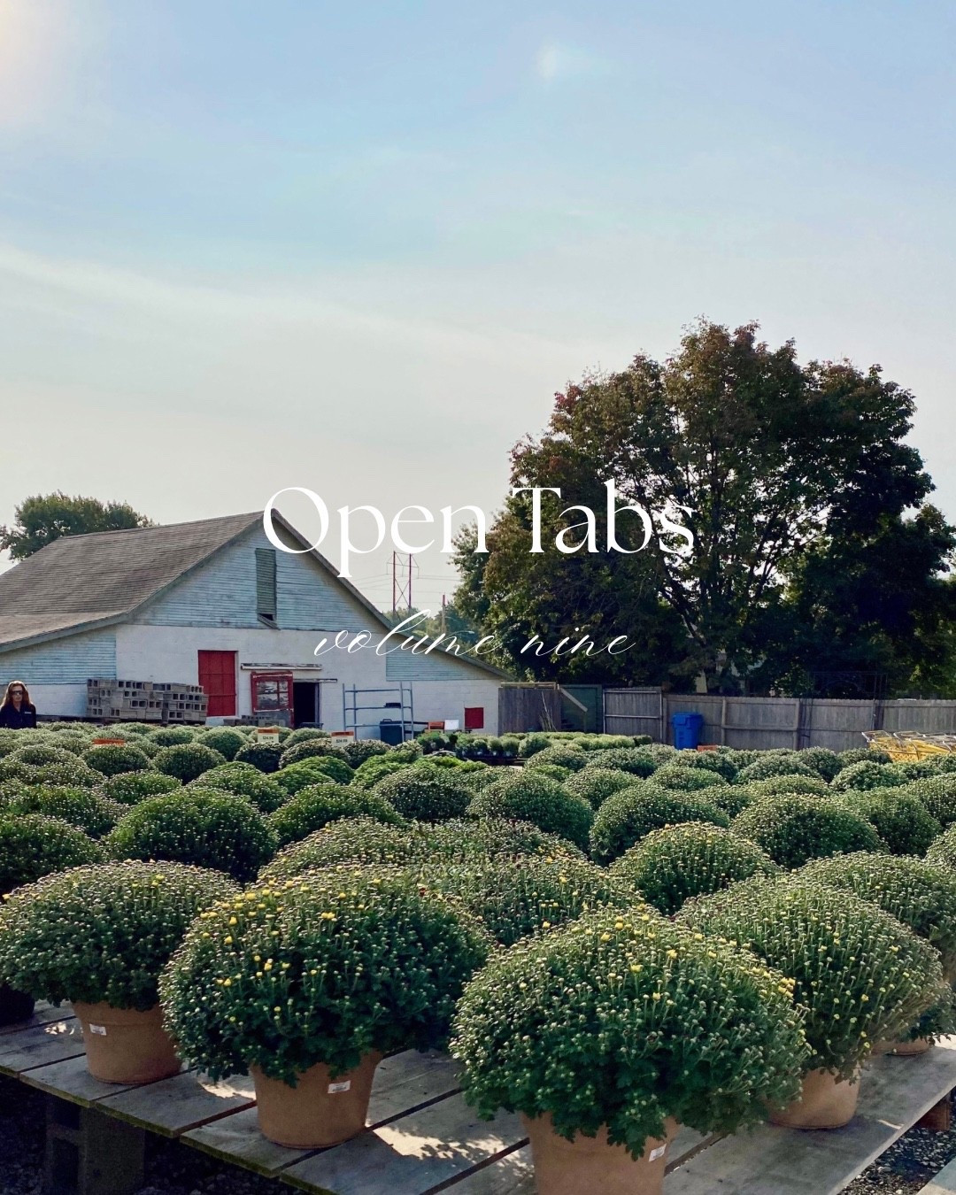 Drawn to lots of neutrals and knots, and neutral knits 🤎🩶🖤🤍