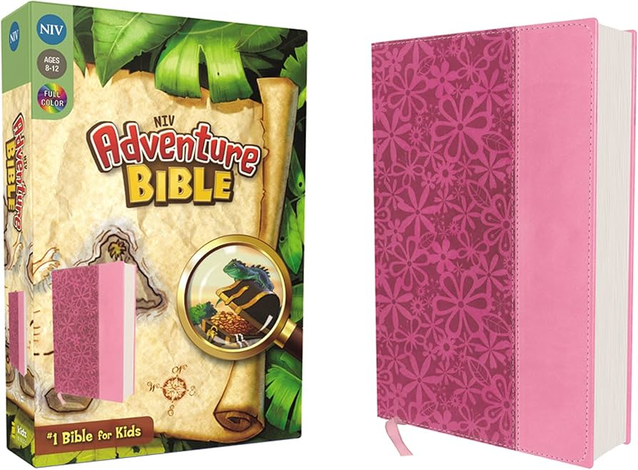 NIV, Adventure Bible, Leathersoft, Pink, Full Color | Amazon (US)