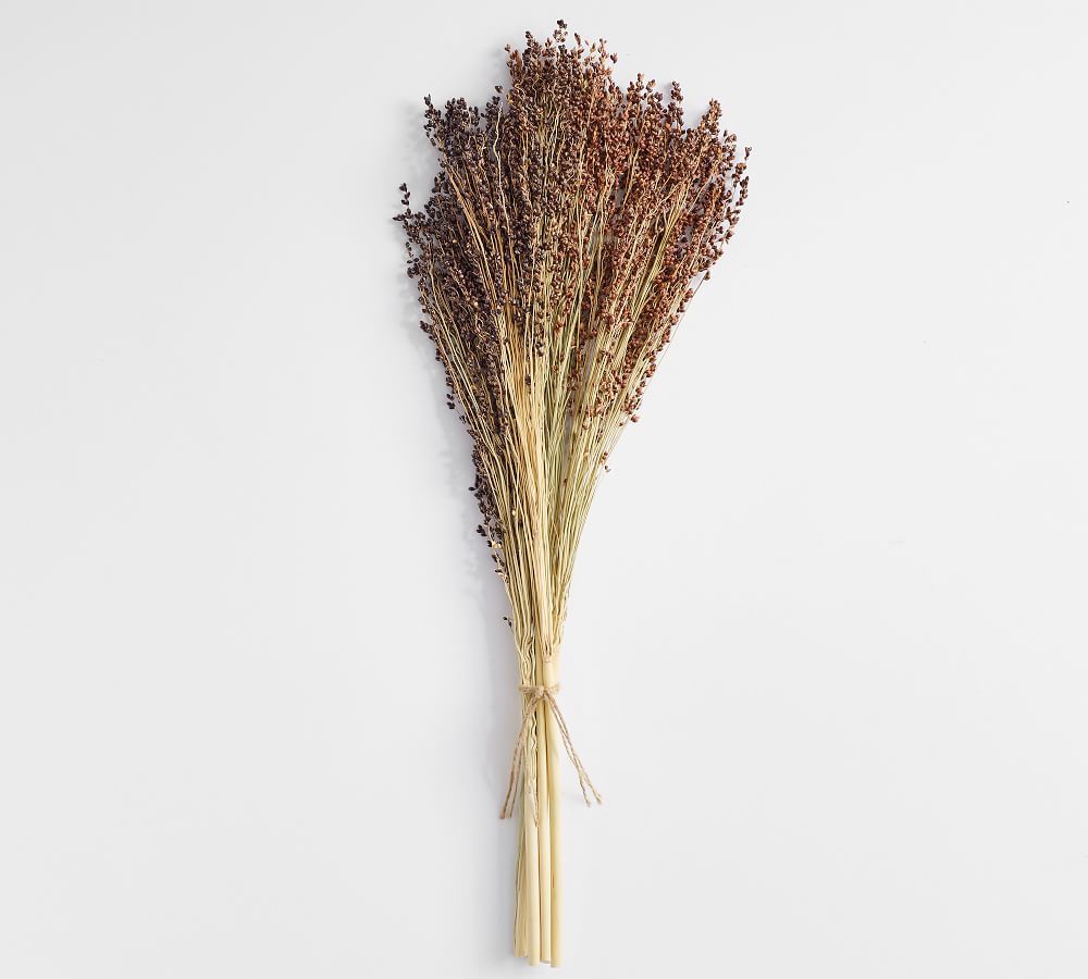 Dried Sorghum Bundle | Pottery Barn (US)