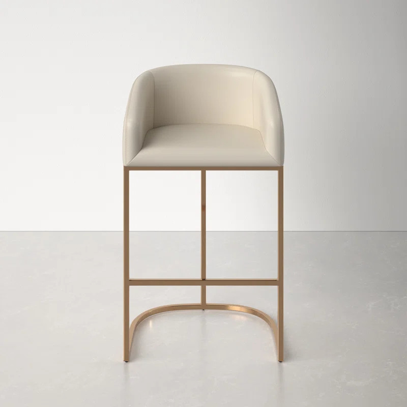 Vinnie Bar & Counter Stool | Wayfair North America
