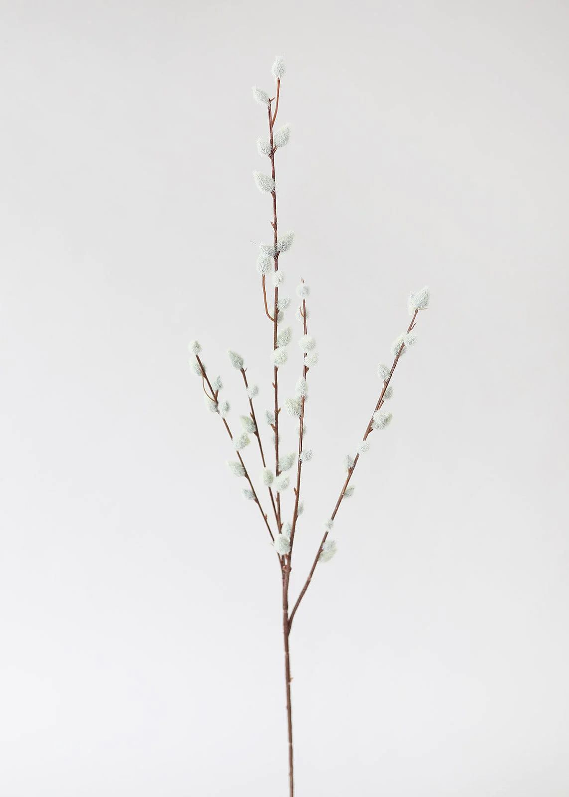 Gray Artificial Pussy Willow Branch - 31" | Afloral (US)