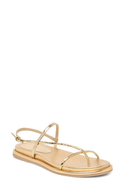 Dolce Vita Dom Strappy Sandal in Gold Distressed Leather at Nordstrom, Size 9.5 | Nordstrom