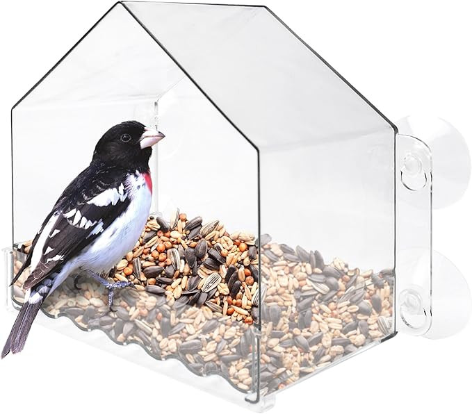 Nature's Way Win-3 Clear View Window Bird Feeder with Strong Suction Cups, Transparent Outdoor Wi... | Amazon (US)