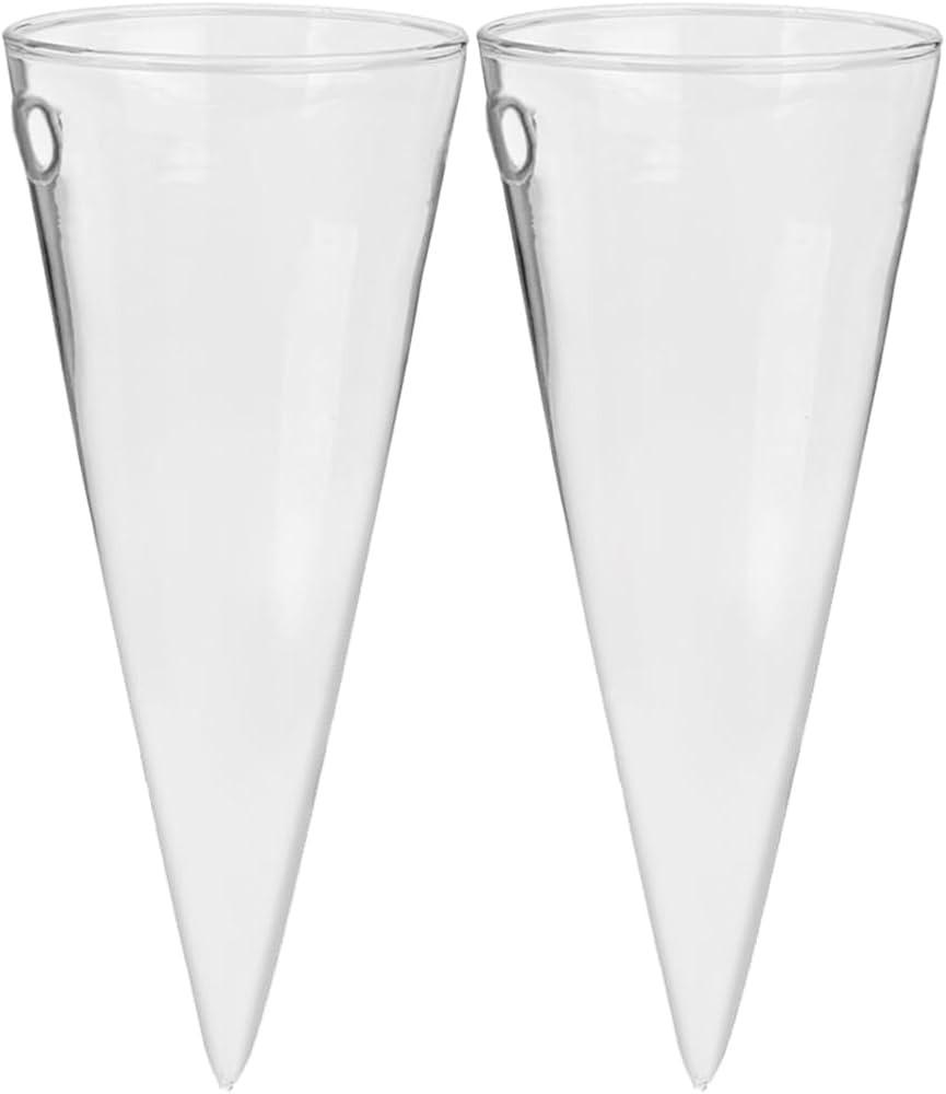 BESTOYARD 2pcs Wall Hanging Glass Flower Pots Plant Vase Wall Flower Vase Terrarium Air Plants Hy... | Amazon (US)