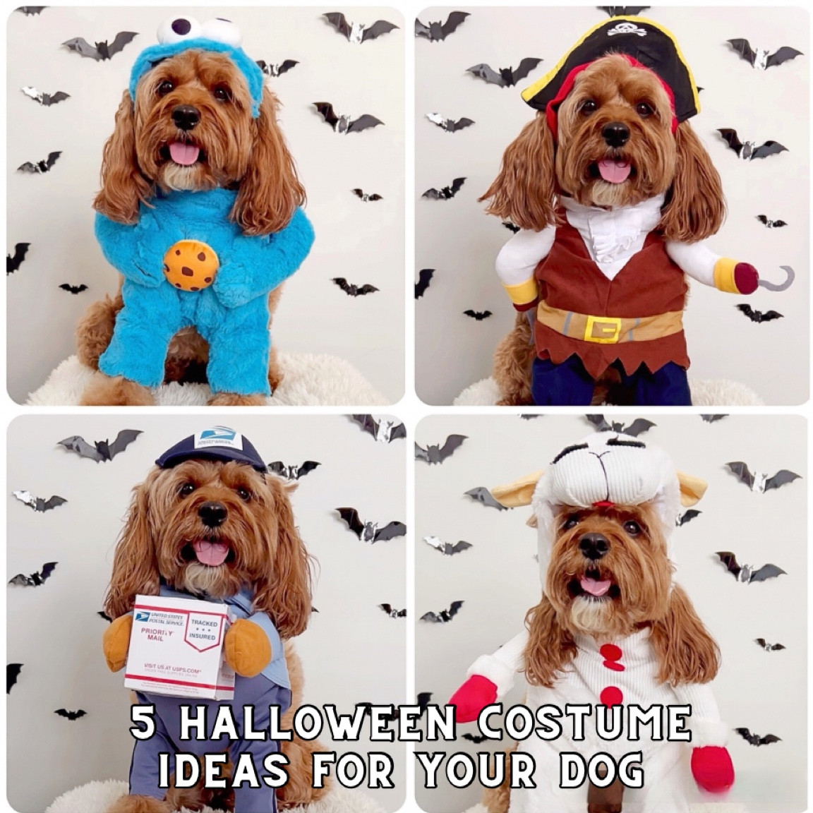 Still need a costume for Halloween? Here’s 5 ideas! (These costumes actually stay on!) 