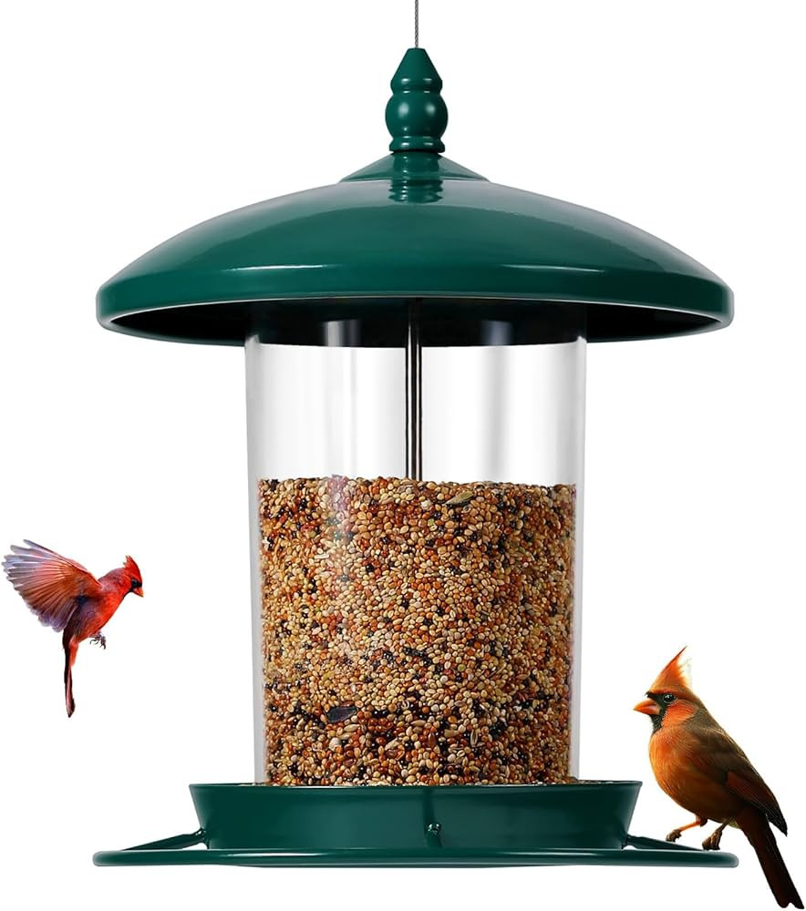Metal Bird Feeder for Outdoors Hanging,3.0LB Seed Feeder,Easy to Fill & Clean,360° Feeding,Chew ... | Amazon (US)