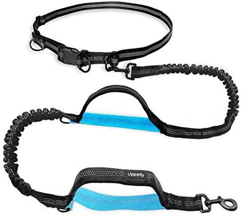 UPPETLY Dog Hands Free Leash with Zipper Pouch, Professional Running Leash with Dual Handle Retra... | Amazon (US)