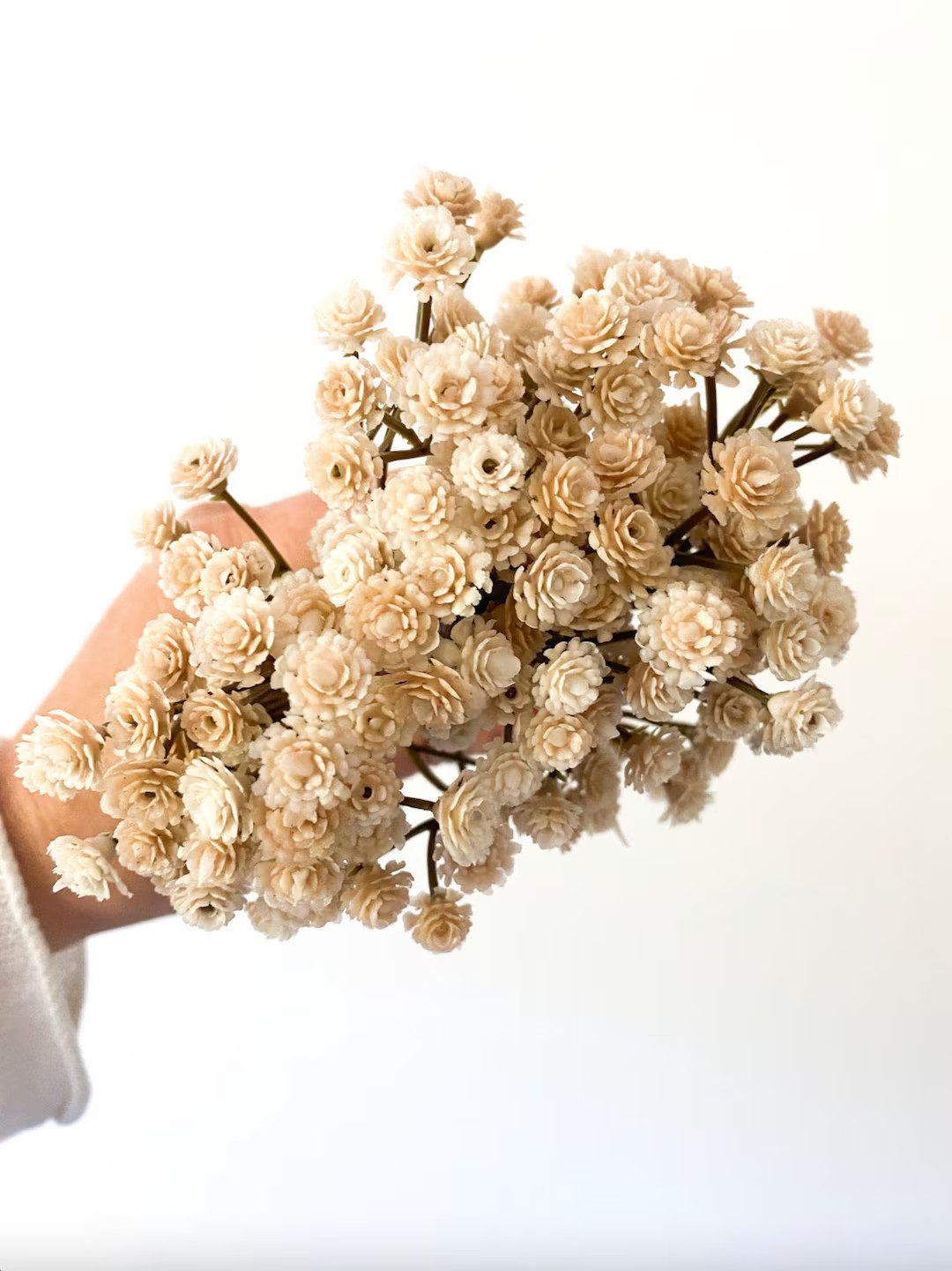 3 Bunches Khaki Cream Gypsophila Filler, Baby's Breath Filler Wreath Filler, Crown Filler, Arrang... | Etsy (US)