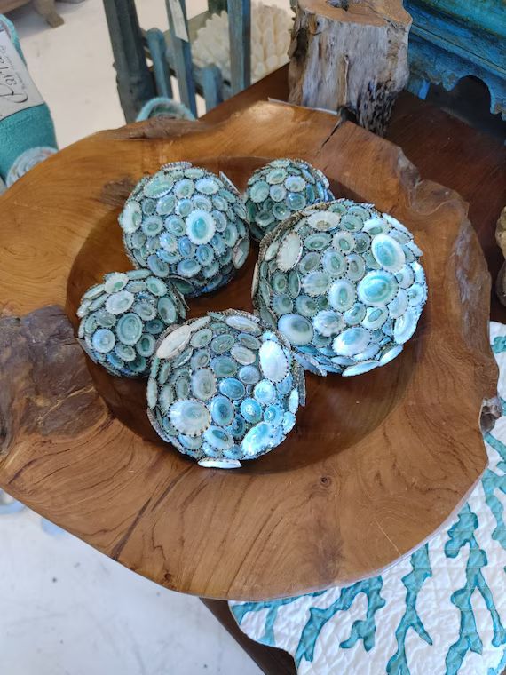 Blue Green Limpet Sphere Ball Seashell Shell Decorative Orb | Etsy | Etsy (US)