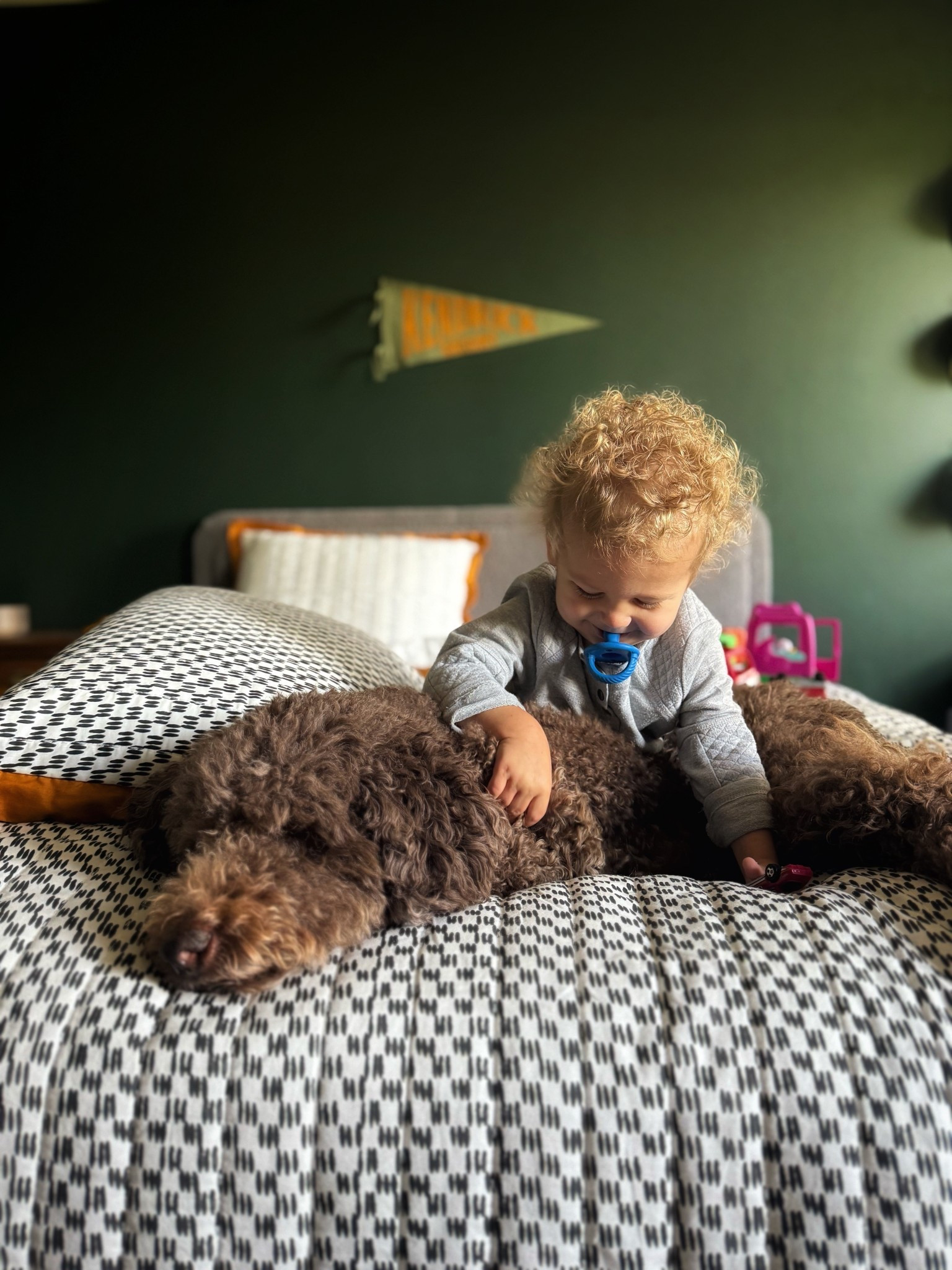 Big boy room ready

#LTKKids #LTKHome