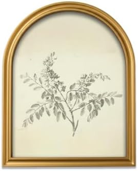 TwoDays Gold Vintage Sketched Branches Arched Wood Framed Wall Art – Neutral Leaf Canvas Pictur... | Amazon (US)