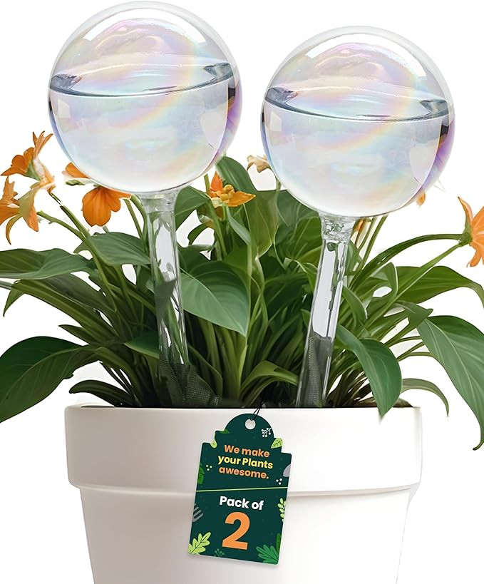 2 Pcs Iridescent Self Watering Globes, Glass Rainbow Plant Watering Globes, Self Watering Planter... | Amazon (US)