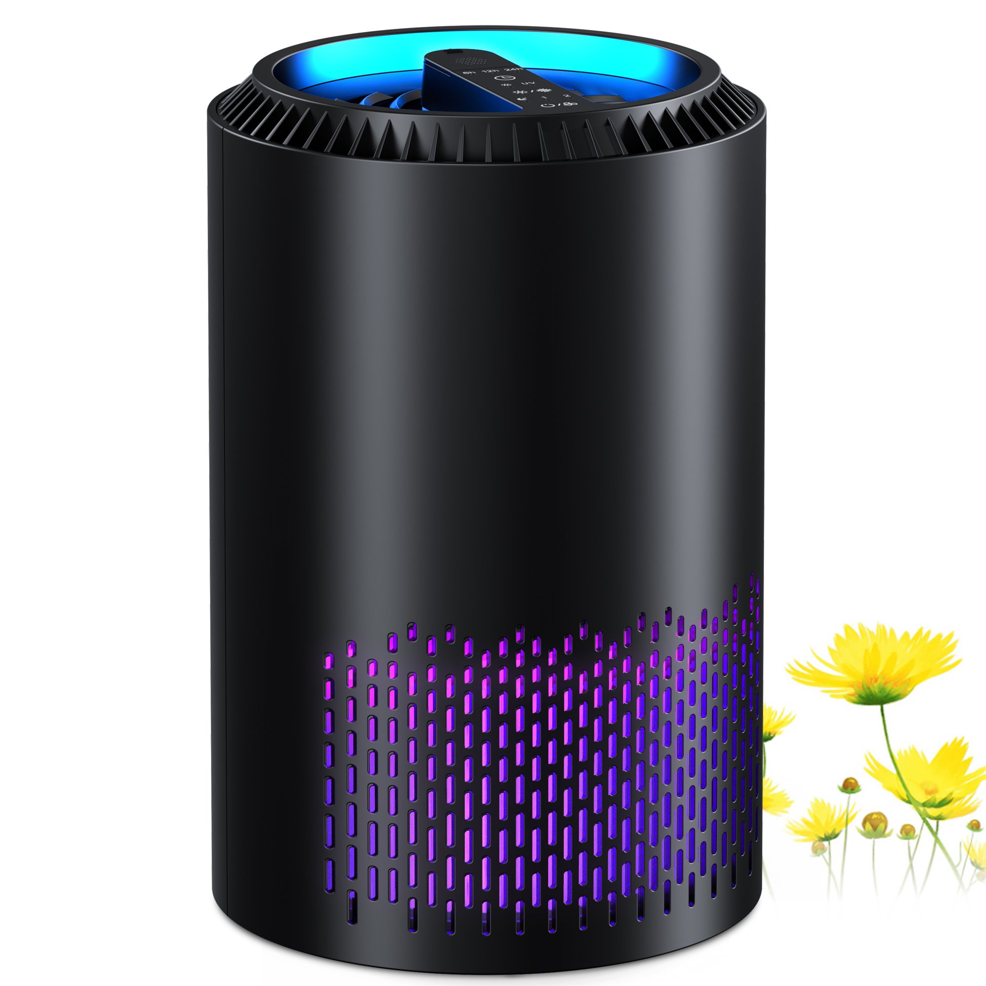 BREEZOME HEPA Air Purifier Remove PM10, PM2.5, Dust, Cotton Lint, Hair Air Cleaner for Home Bedro... | Walmart (US)