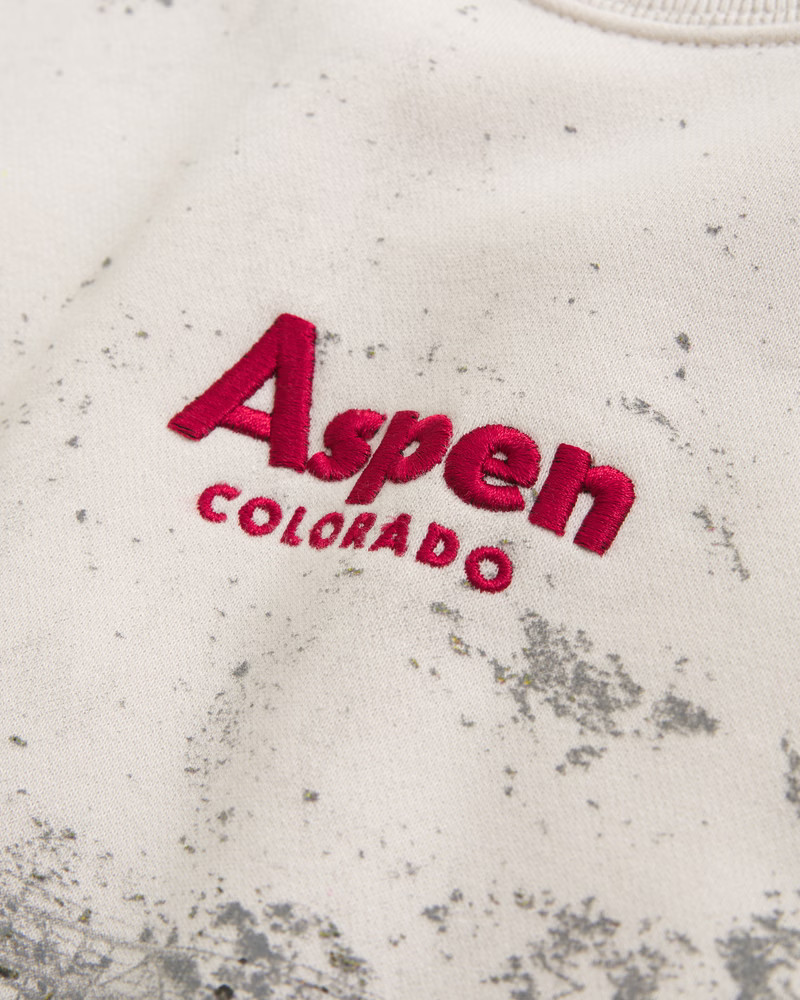 Ski Destination Vintage Sunday Crew | Abercrombie & Fitch (US)