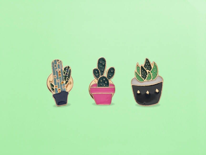 Get 10% OFF  Cactus, Succulent, Enamel Brooch Pin Set (Cactus Brooch pin, Succulent Brooch Pin) | Etsy (US)