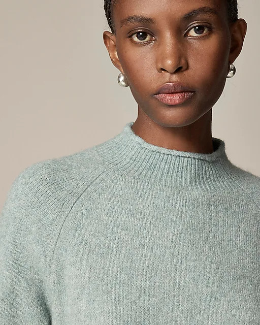 Rollneck™ sweater in Supersoft yarn | J. Crew US
