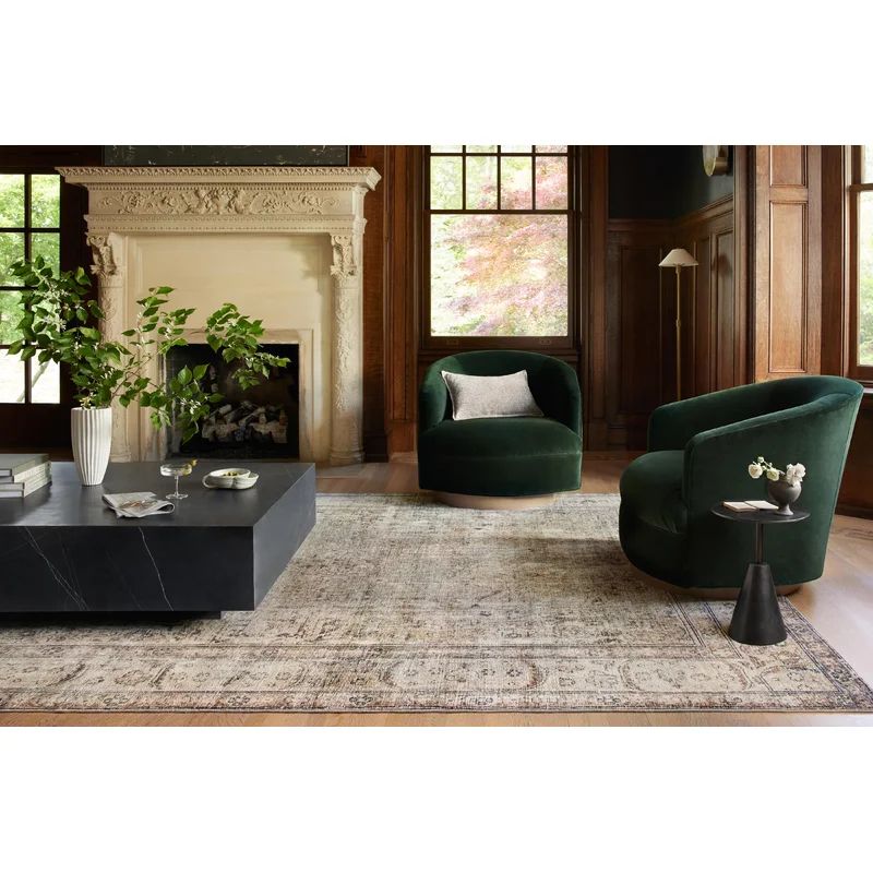 Margot Performance Antique/Sage Rug | Wayfair North America