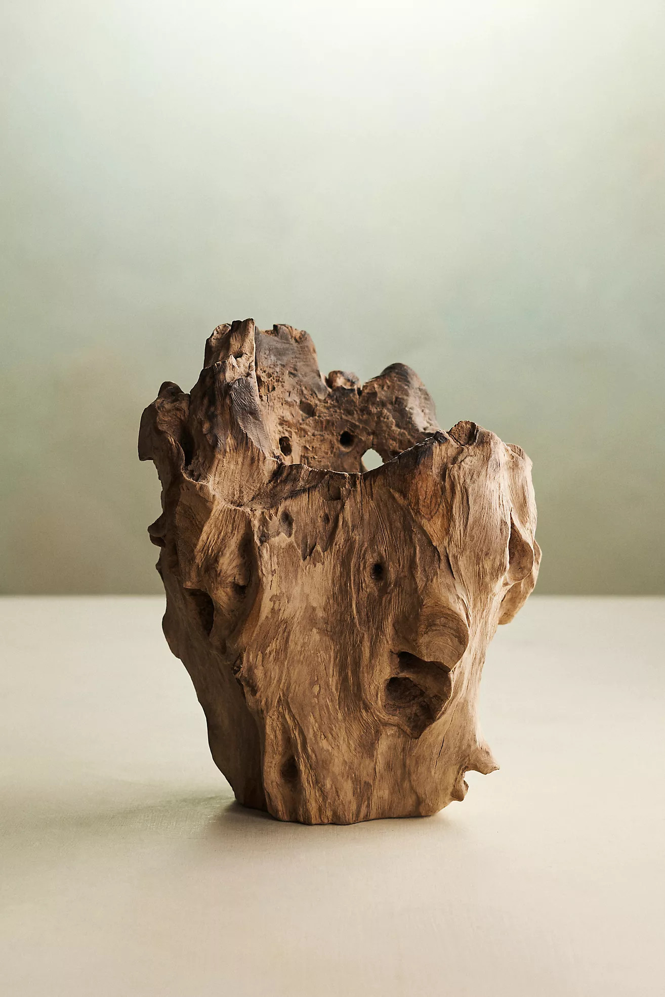 Teak Root Form Planter, 6 | Anthropologie (US)