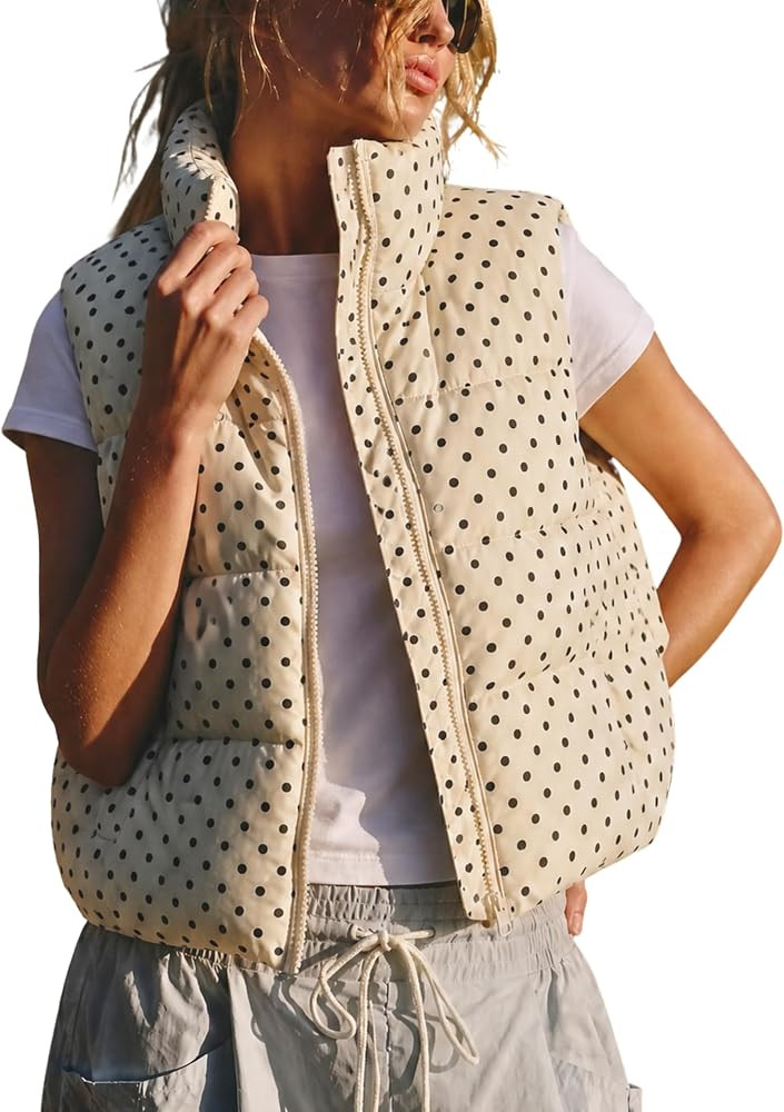 Lightweight Padded OutWear Zip Up Stand Collar Gilet With Side Pockets For Daily Fall Casual Outd... | Amazon (US)
