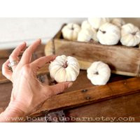 Small Fall Pumpkins in White Velvet For Tabletop Decorating | Etsy (US)