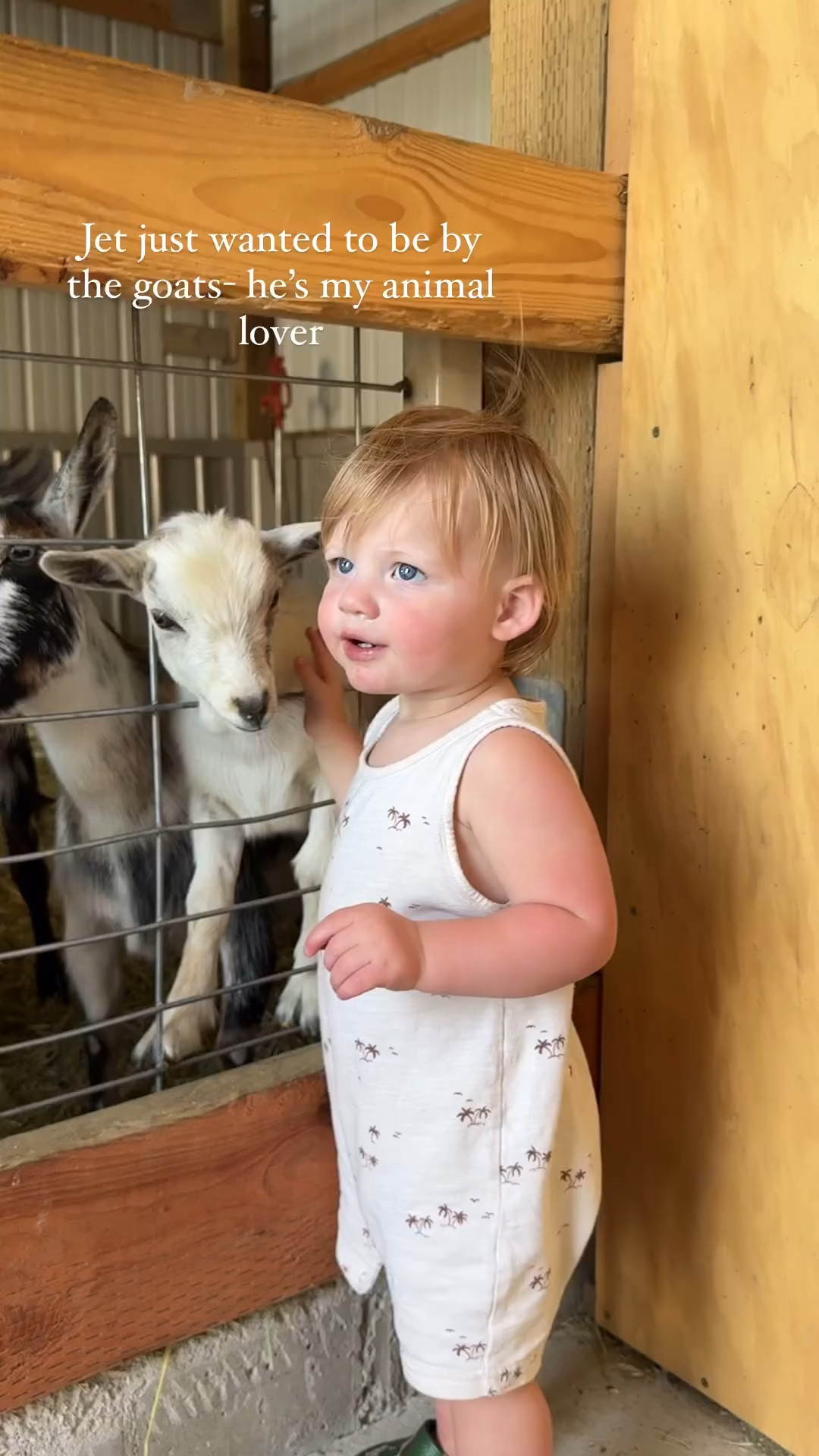Jet’s loving the goats 🐐 I linked some similar styles to the onesie he is wearing! 

kids l baby boy l baby l boy outfit 

#LTKKids #LTKBaby