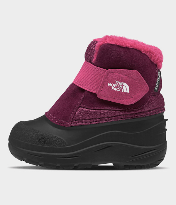 The North Face Toddler Alpenglow II Boots (Size: 4): Boysenberry/Black | The North Face (US)