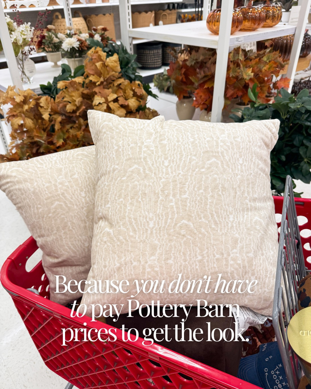 These are GORGEOUS!

#LTKHome #LTKSeasonal #LTKdayinmylife