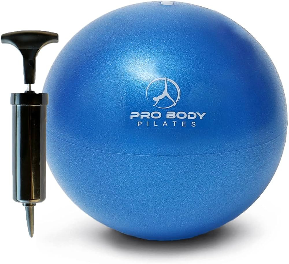 ProBody Pilates Ball Small Exercise Ball w/Pump, 9 Inch Barre Ball, Mini Soft Yoga Ball, Workout ... | Amazon (US)