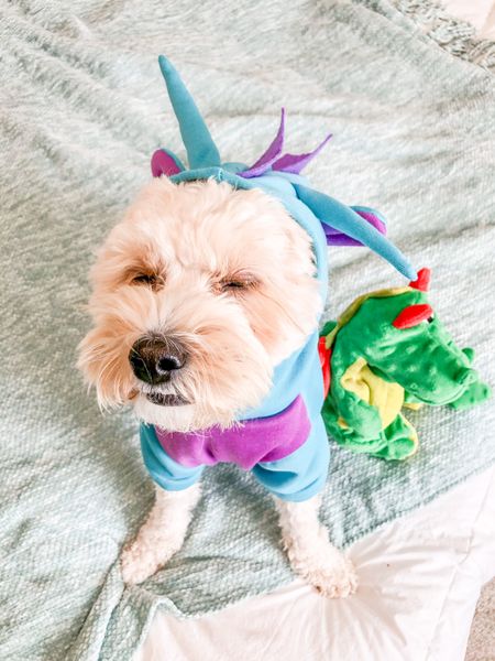 I found my dragon hoodie at my local Winco but here are some other good options on Amazon! #halloween #dogcostume #dragon #ltkdog #dog 

#LTKstyletip #LTKSeasonal #LTKfamily