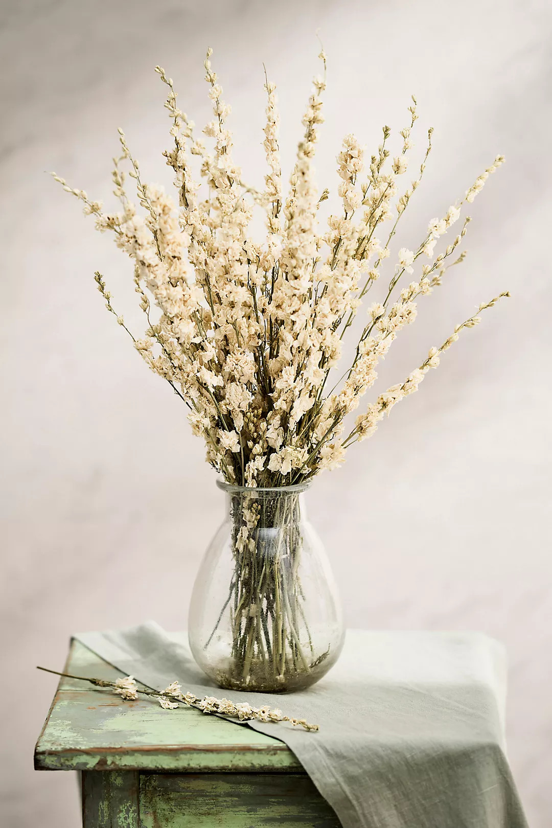 Dried Larkspur Bunch | Anthropologie (US)