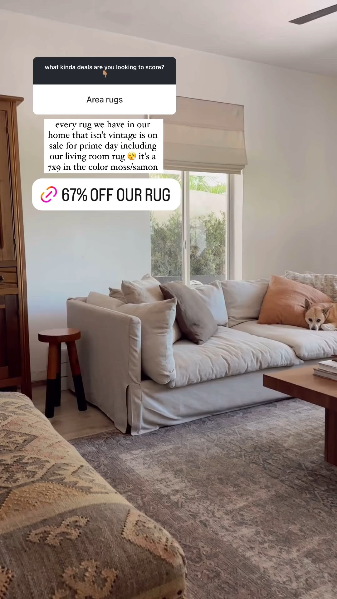 every rug we have in our home that isn't vintage is on sale for #primeday including our living room rug it's a 7x9 in the color moss/samon
67% OFF OUR RUG

#LTKVideo #LTKHome #LTKSaleAlert