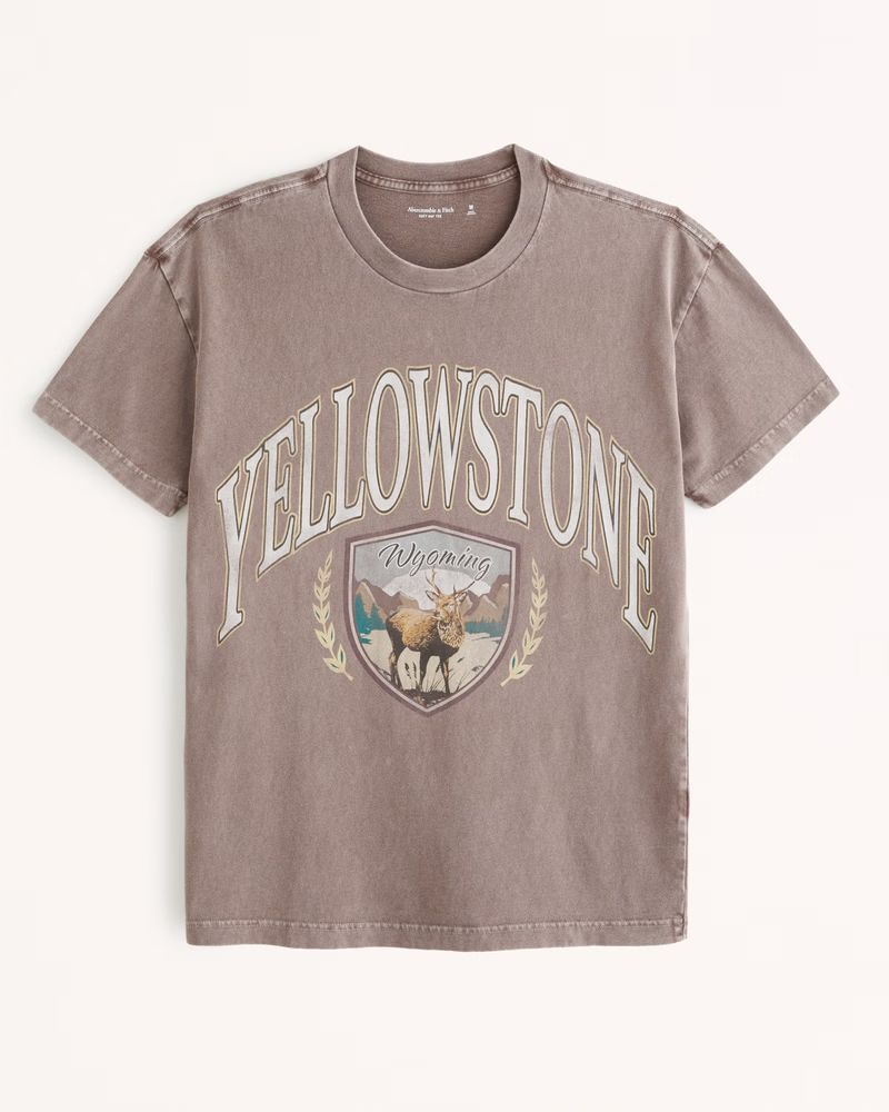 Yellowstone Graphic Tee | Abercrombie & Fitch (US)