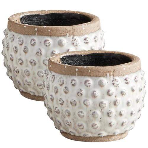 Needzo Rustic Charm Ceramic Polka Dot Flower Pots, Unique Planter Decor, 5.5 x 4 Inches | Amazon (US)