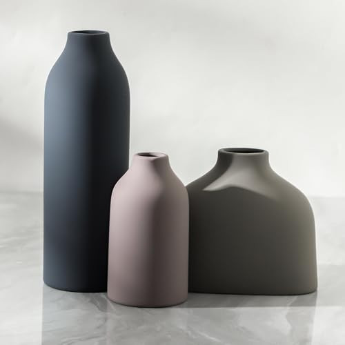 Ceramic Vase Set of 3,Flower Vase Home Decor,Modern Farmhouse Decor, Pampas Grass Dried Fresh Flowers,Bedroom,Living Room,Bookshelf Decoration, Centerpiece Table Boho Decor. | Amazon (US)