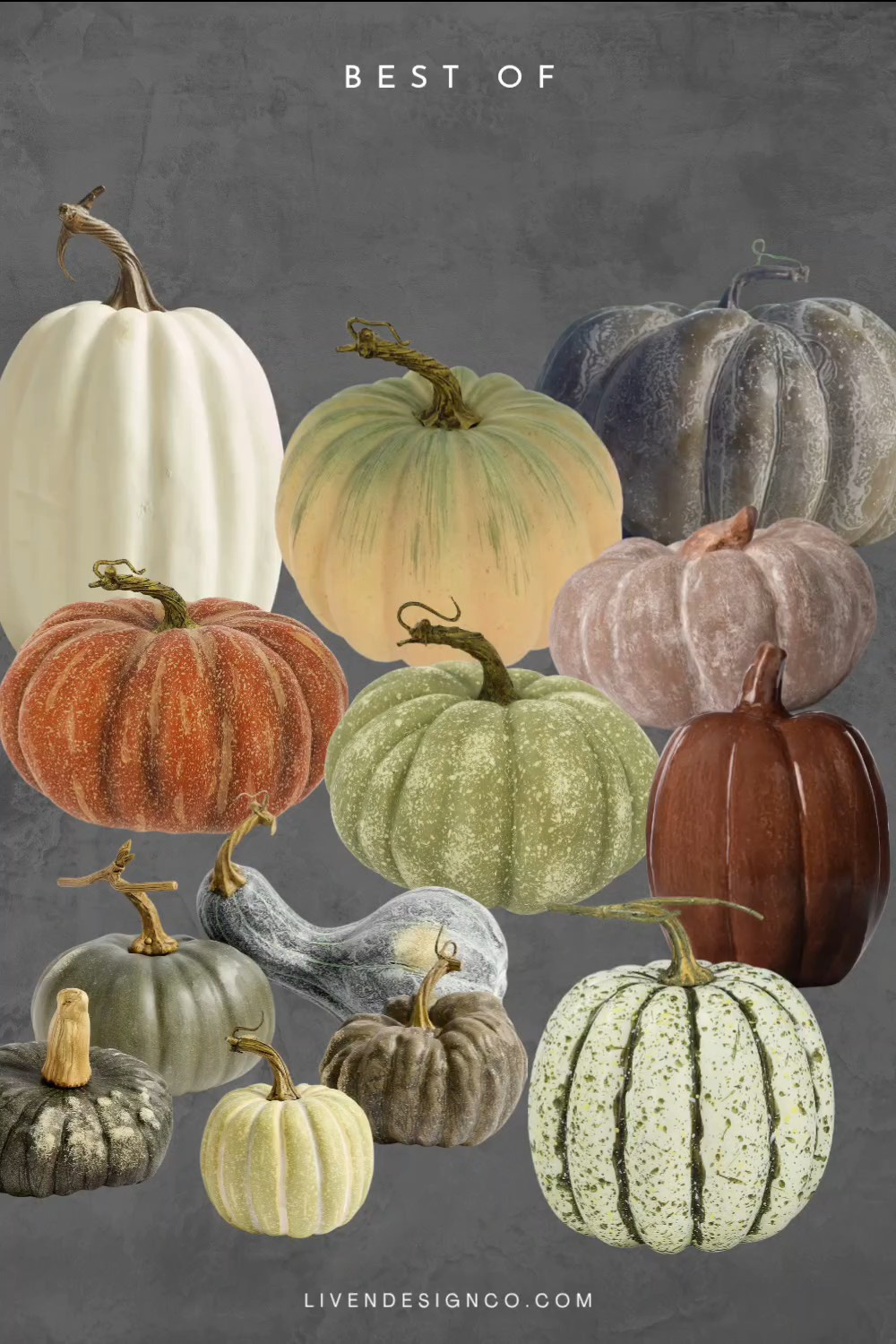 Fall decor. Decorative pumpkins. Fall front door. Heirloom pumpkins. Green pumpkins. Cream pumpkins. 

#LTKSeasonal #LTKHome #LTKSaleAlert