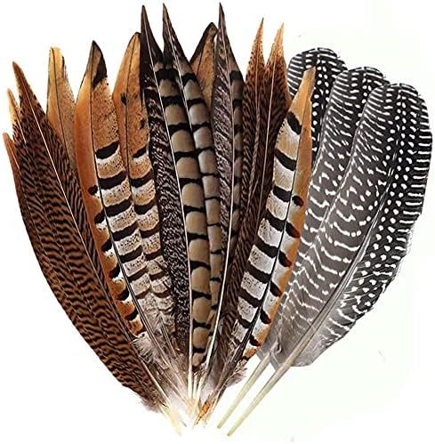 Flying Feathers Natural Pheasant Feathers 4 Style 15-20cm 12pcs Natural Feathers for DIY Craft Ho... | Amazon (US)