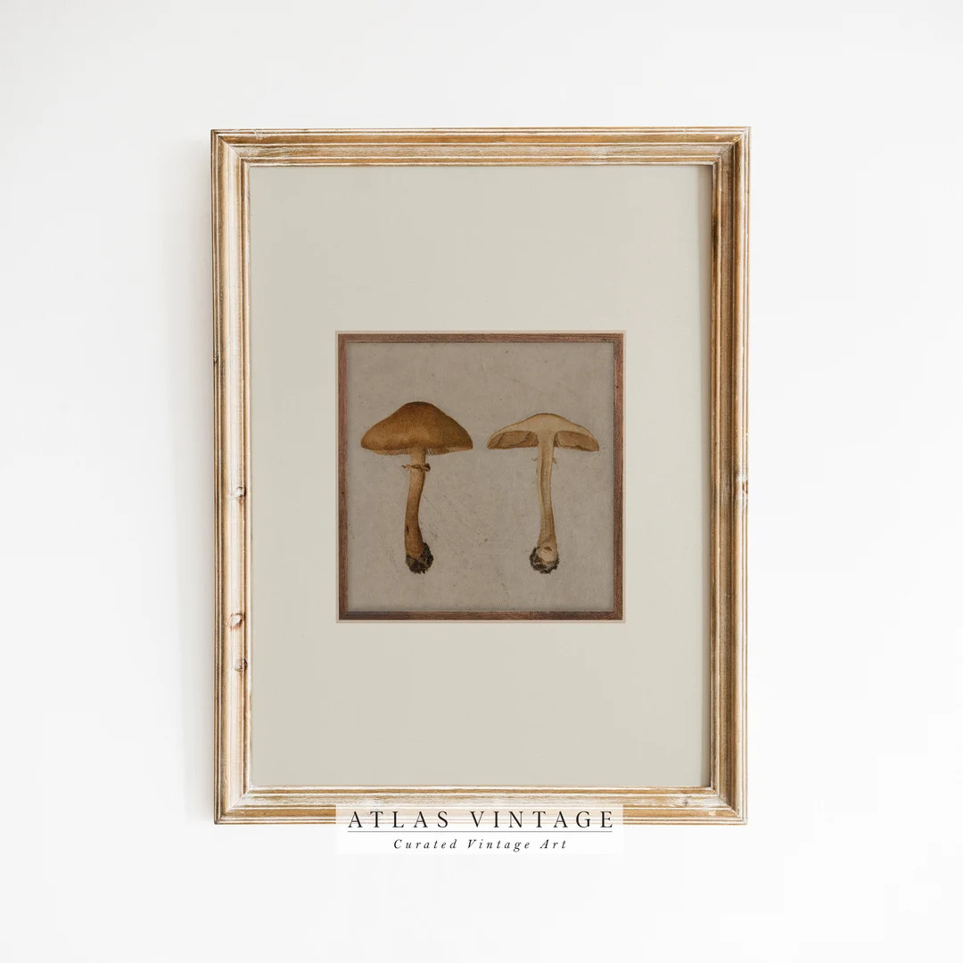 Mushroom Wall Print Vintage Fall Painting Digital Kitchen Wall Decor Antique Autumn Printable Wal... | Etsy (US)