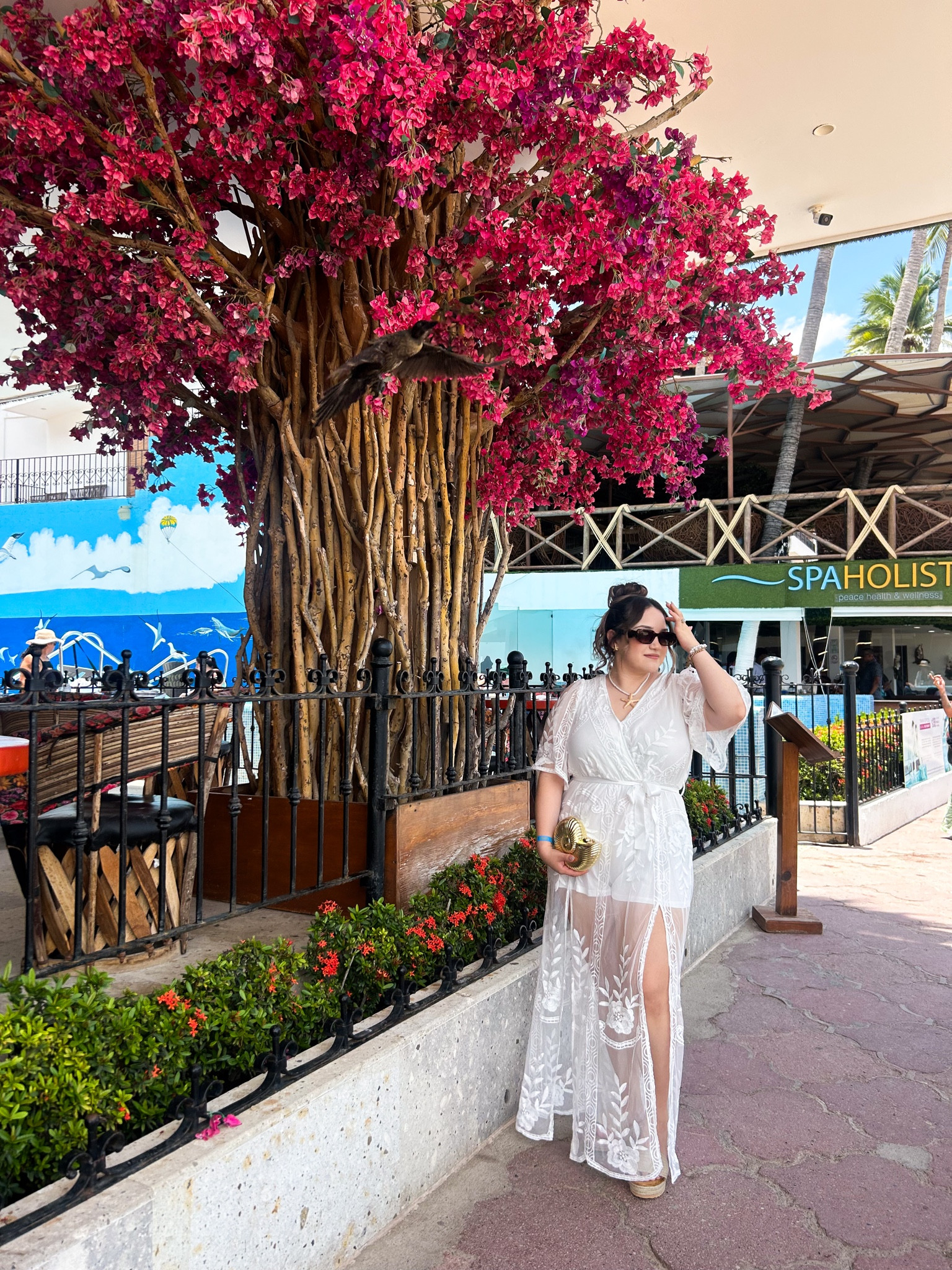 A little white moment 🕊️✨🌴 