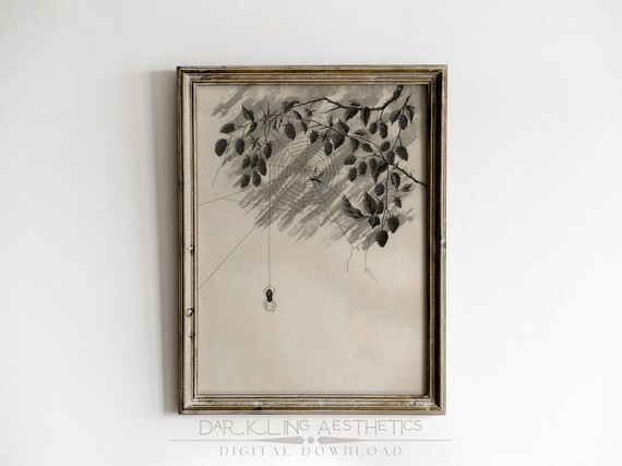 Vintage Spider Web Print  Dark Cottagecore Moody Victorian - Etsy | Etsy (US)