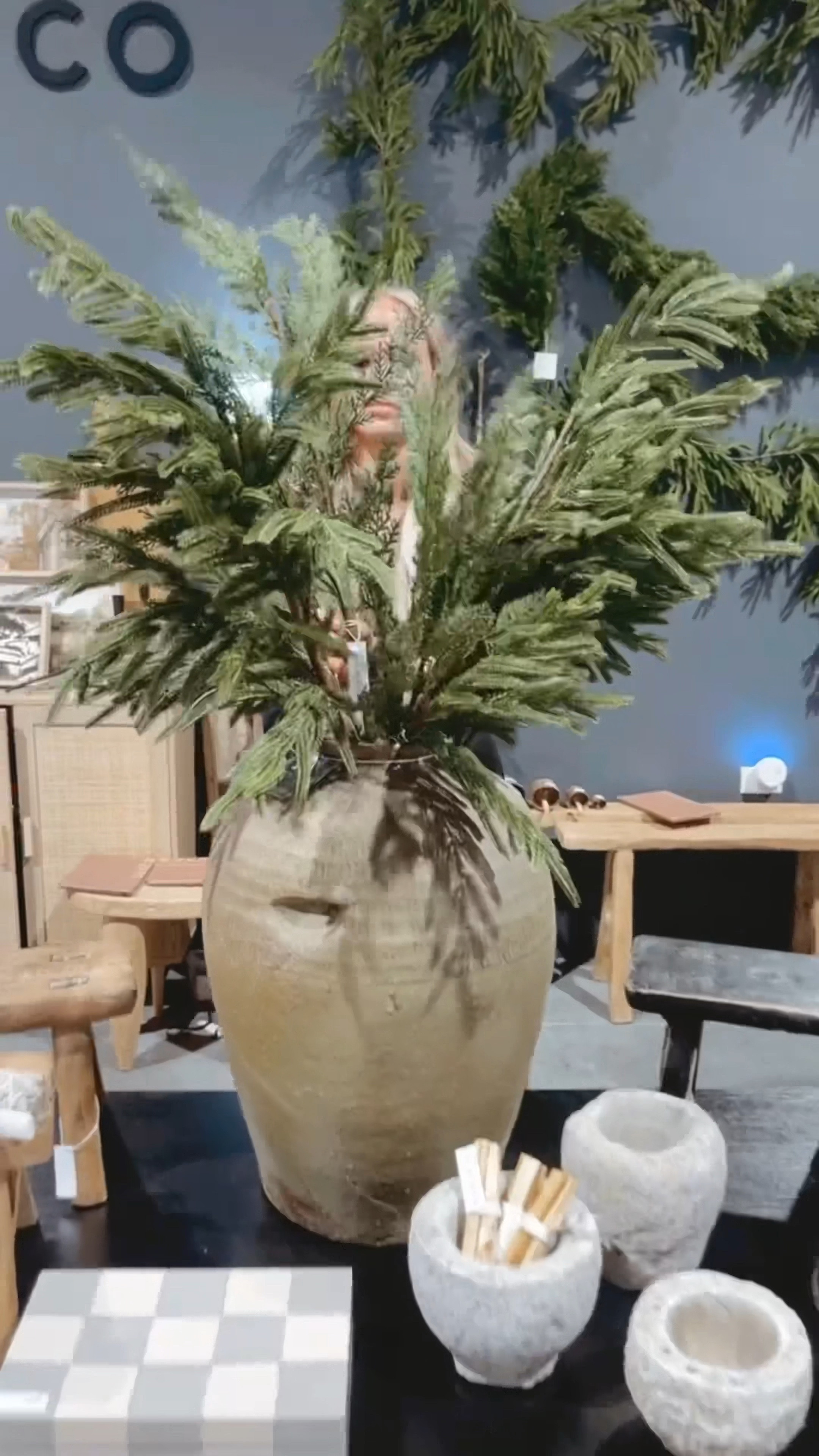 Norfolk garland 

#LTKhome #LTKVideo #LTKHoliday