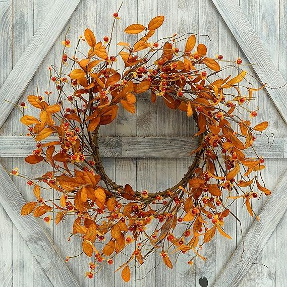 AMF0RESJ Artificial Fall Wreath for Front Door Autumn Door Wreath with Bitter Sweet Berry,Dry Vin... | Amazon (US)