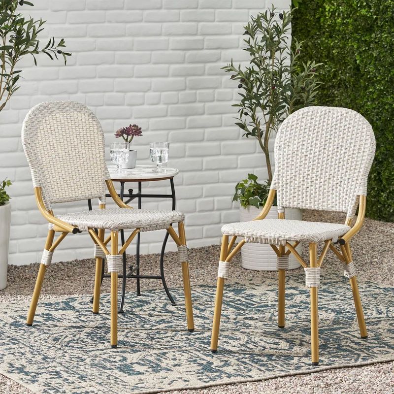 Aedel Patio Dining Side Chair (Set of 2) | Wayfair North America