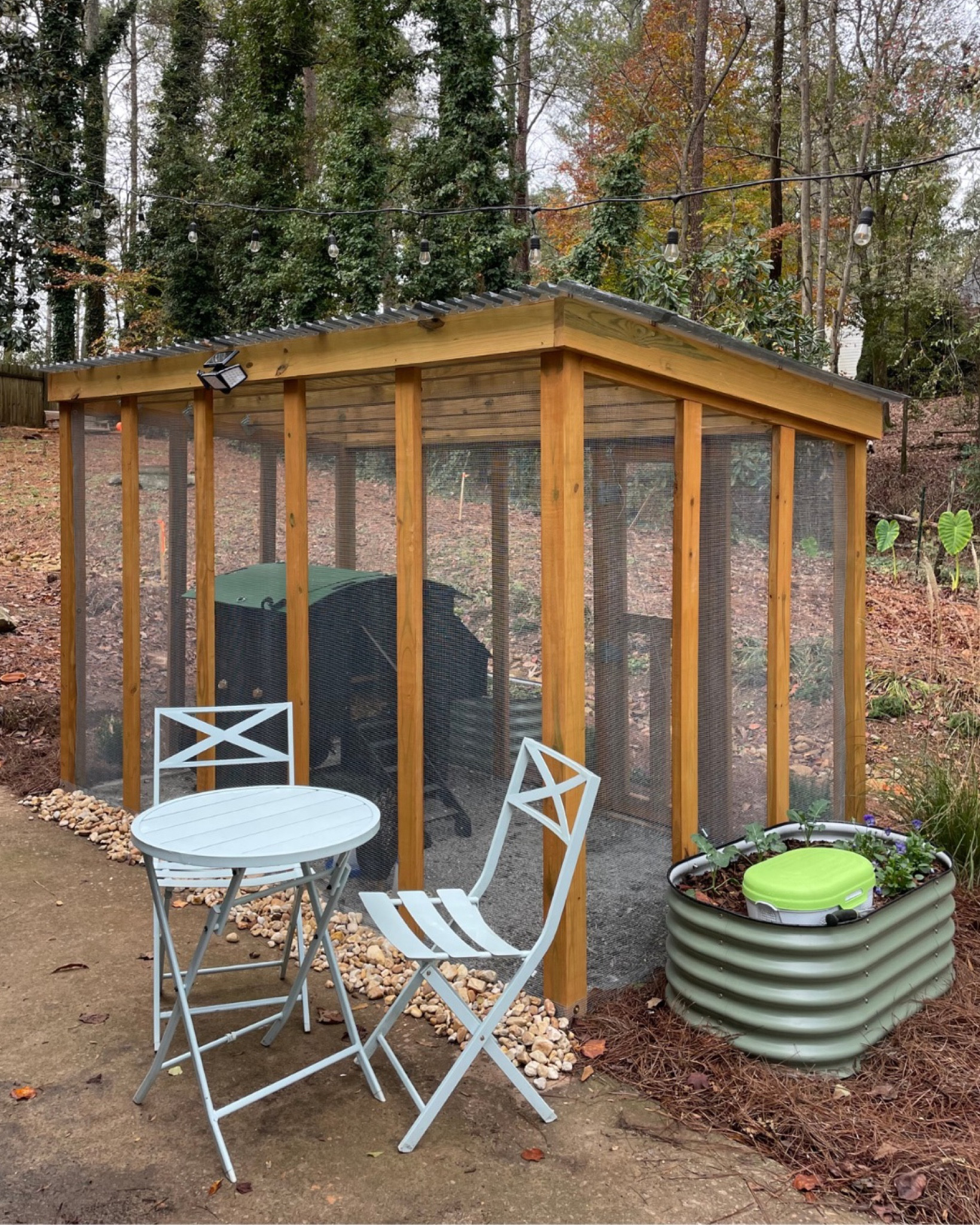 Shop my chicken coop build! 

#LTKhome